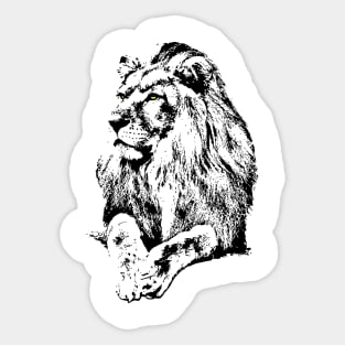Wildlife Lion Sticker